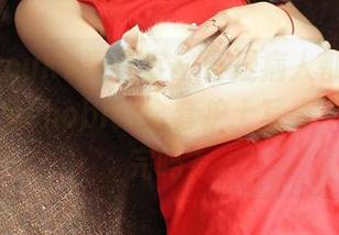 QingDouKe青豆客 – 怀疑病人都不想走，歆小兔chobits全套护士写真，你敢看完吗？