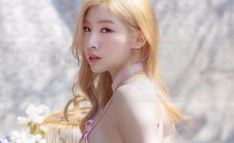 桂花酒般的Yebin(전예빈)兔女郎写真，散发着淡淡的余香和小小的雀跃
