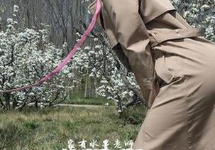 微密圈 – 家有水墨老师的运动合集，别问了，这就是你的新GIF。