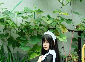 白莉爱吃巧克力的图片、资源——原理猪搭上深巷女仆，这锅我不接。