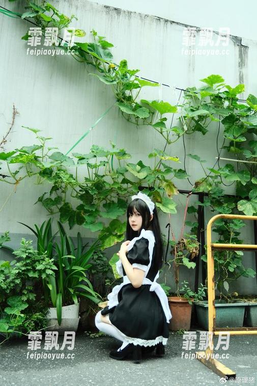 白莉爱吃巧克力的图片、资源——原理猪搭上深巷女仆，这锅我不接。